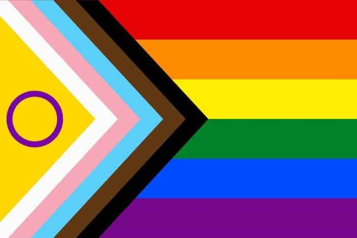 Lgbtq Flag Guide Gay Bisexual Lesbian Trans And Queer History And Meaning