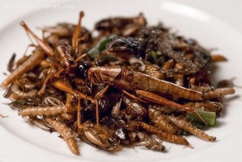Crema di Avocado con Grilli profumati al Limone