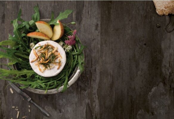 Zuppa agli insetti Grilli, Cavallette e Scarabei