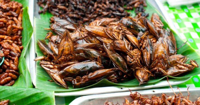 Dimagrire seguendo una dieta a base di insetti commestibili