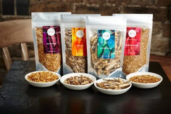 Dove acquistare gli insetti commestibili