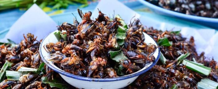 Ristorante Insetti a Napoli il primo Ristorante a Napoli a base di Insetti