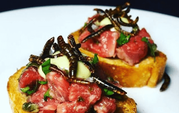 perchè mangiare insetti