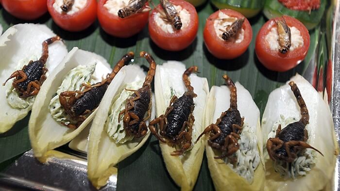 Ricette con insetti 15 migliori piatti in giro per il mondo