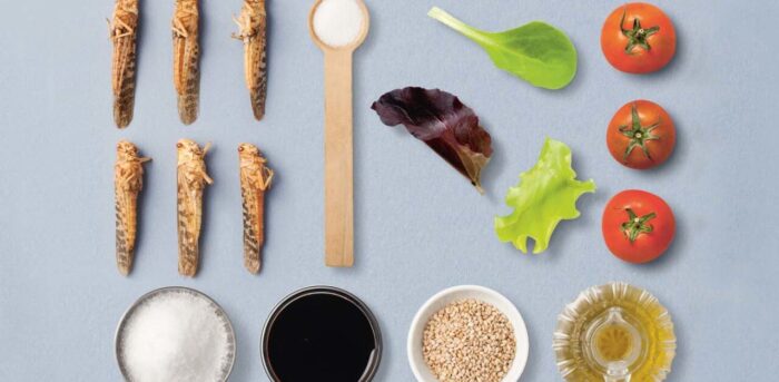 I migliori piatti a base di insetti commestibili grilli, locuste, larve