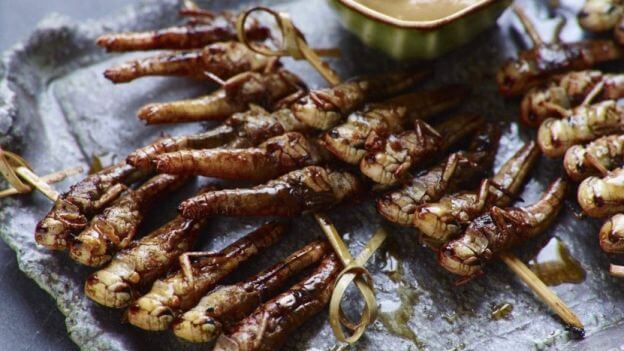 I migliori piatti a base di insetti commestibili locuste e cavallette