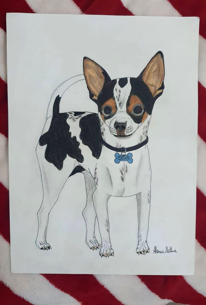 Zeus ultimi scatti 13