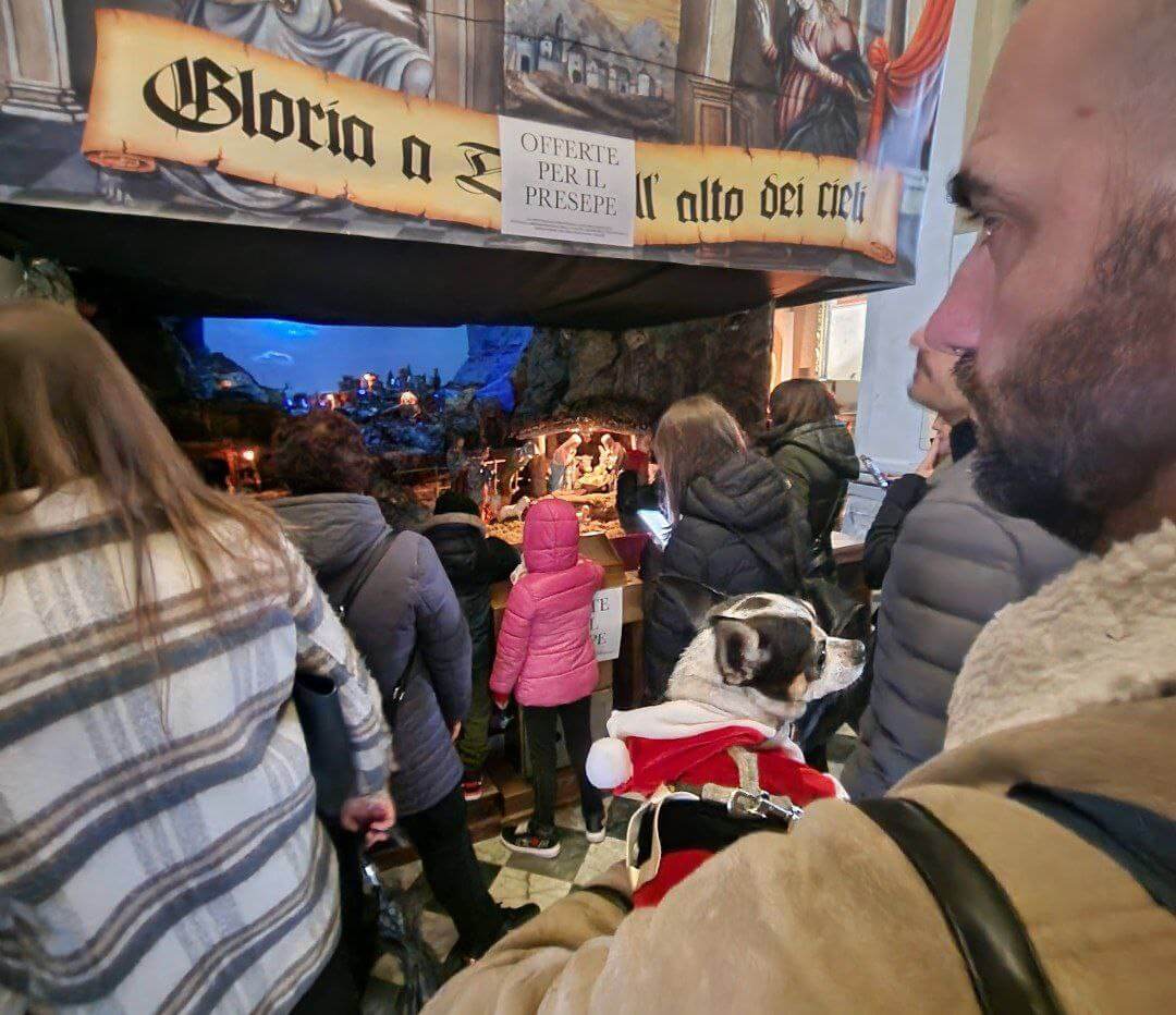 Zeus ultimi scatti 2