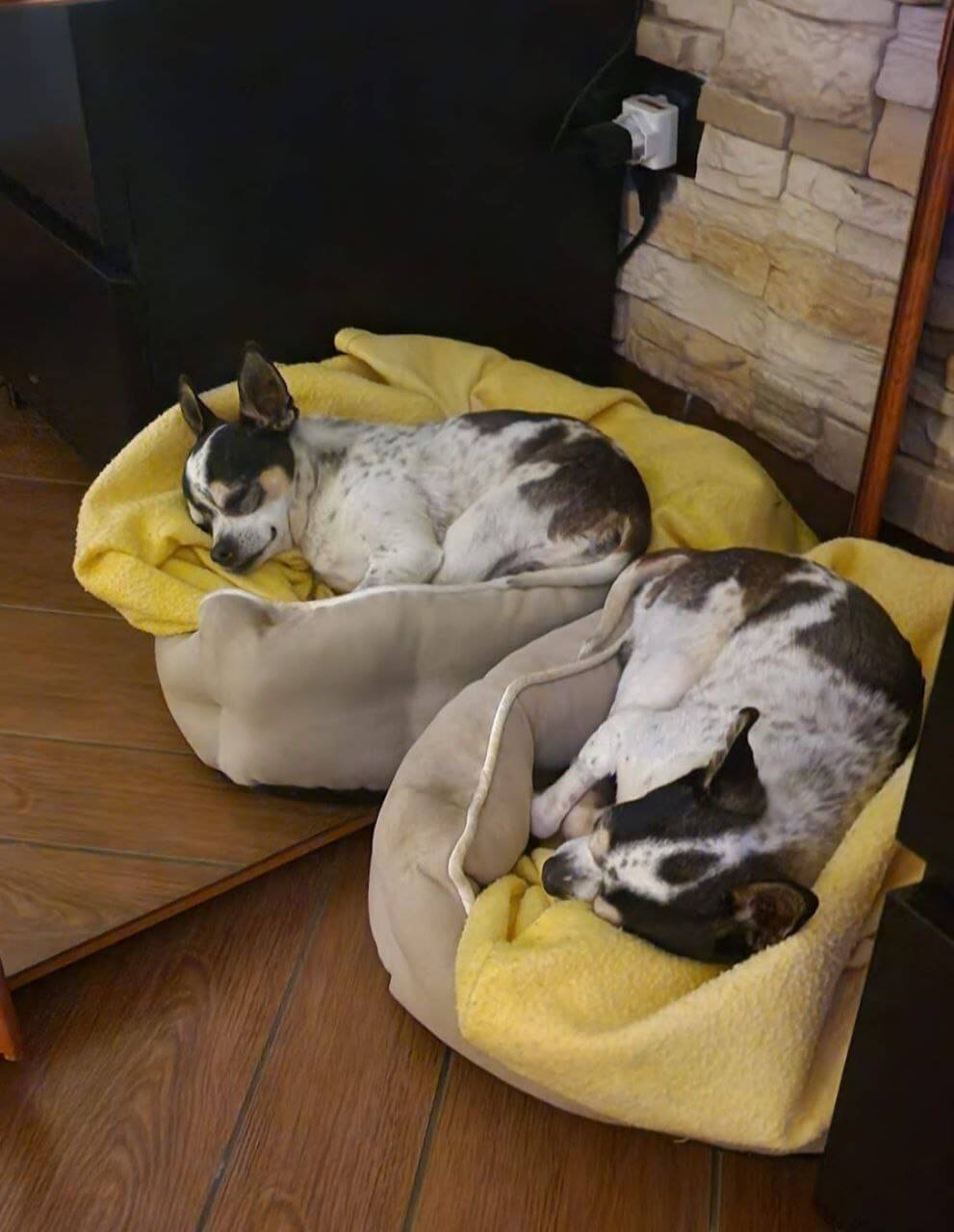 Zeus ultimi scatti 20