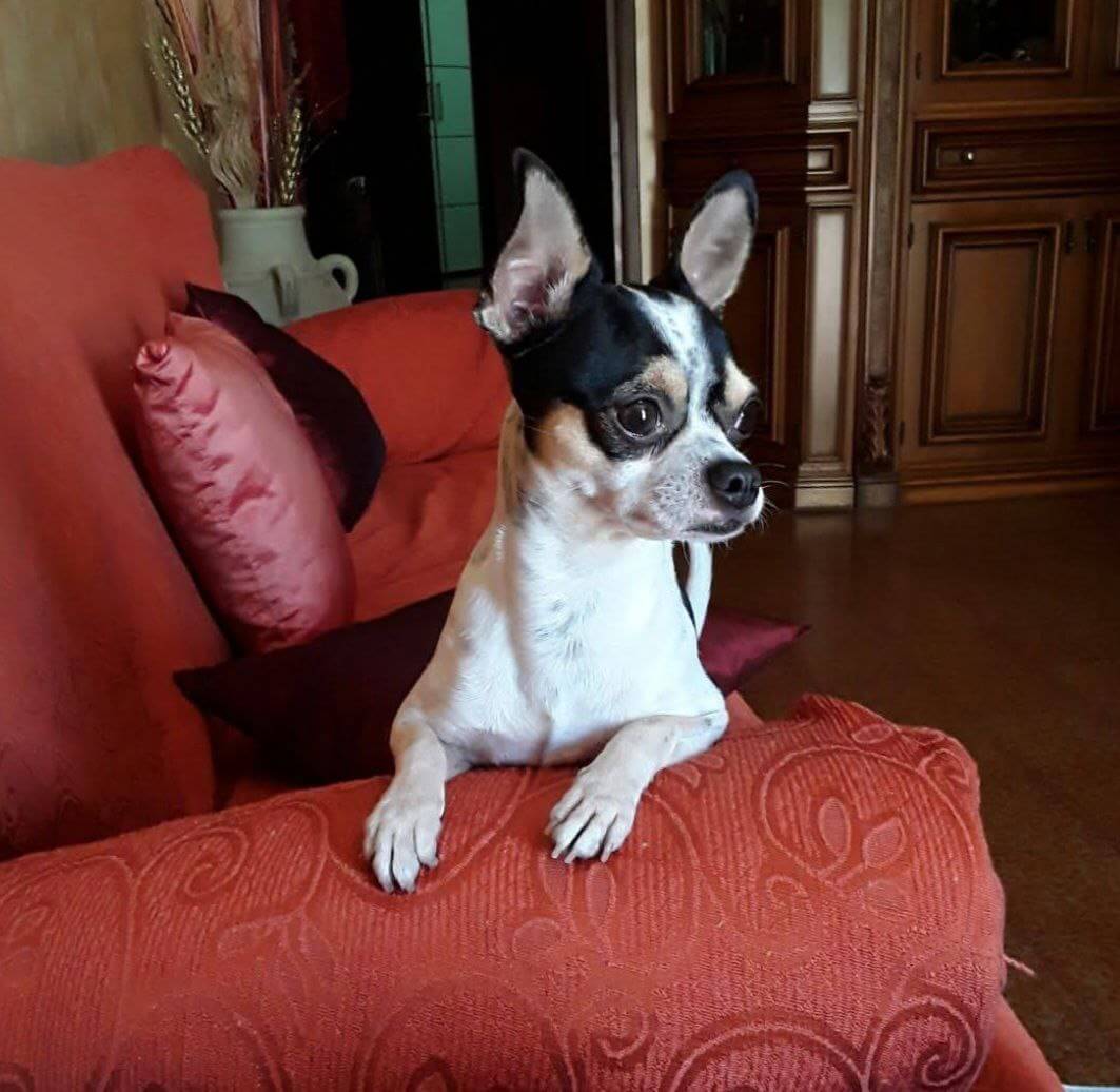 Zeus ultimi scatti 6