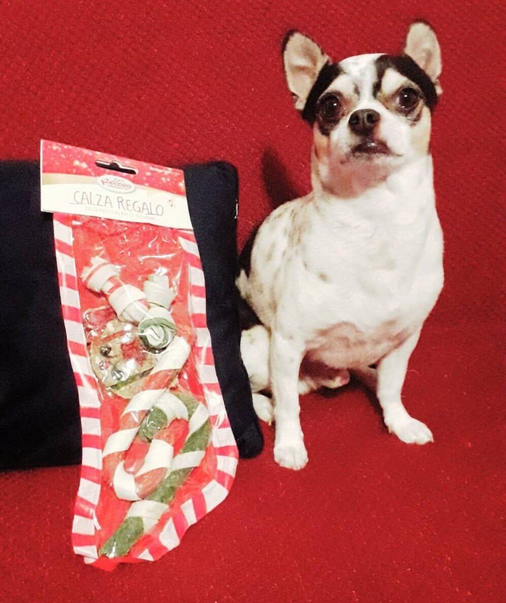 Zeus ultimi scatti 9 3