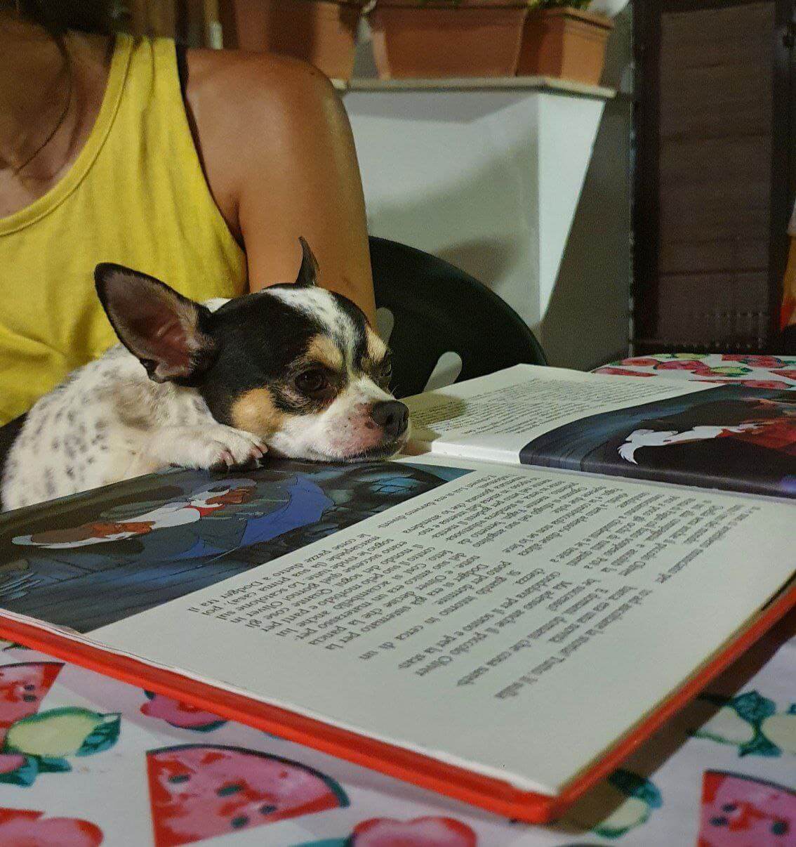 altre foto con zeus 1