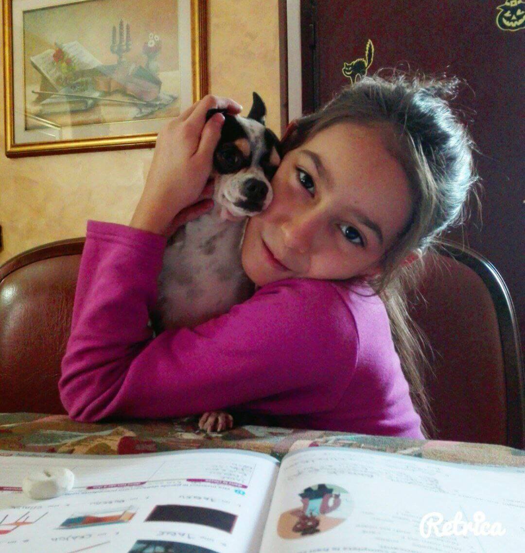 foto del cane Zeus 14