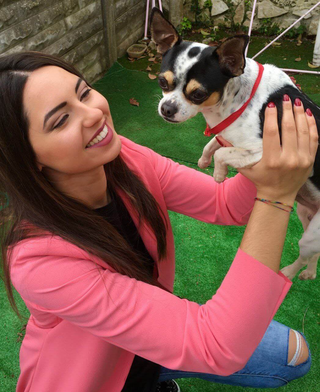 foto del cane Zeus 15