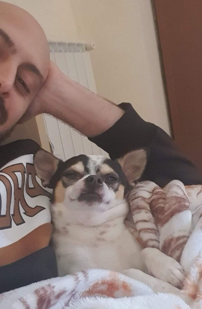 foto del cane Zeus 18