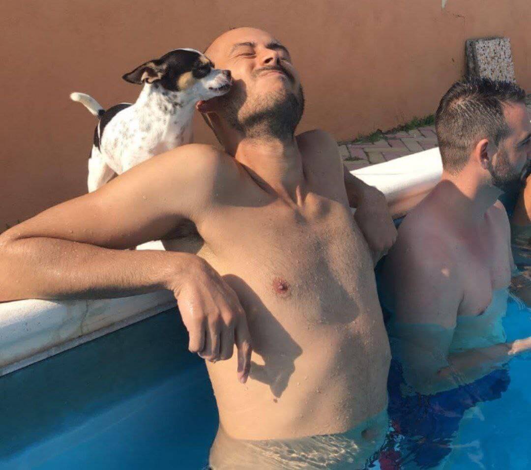 foto del cane Zeus 29