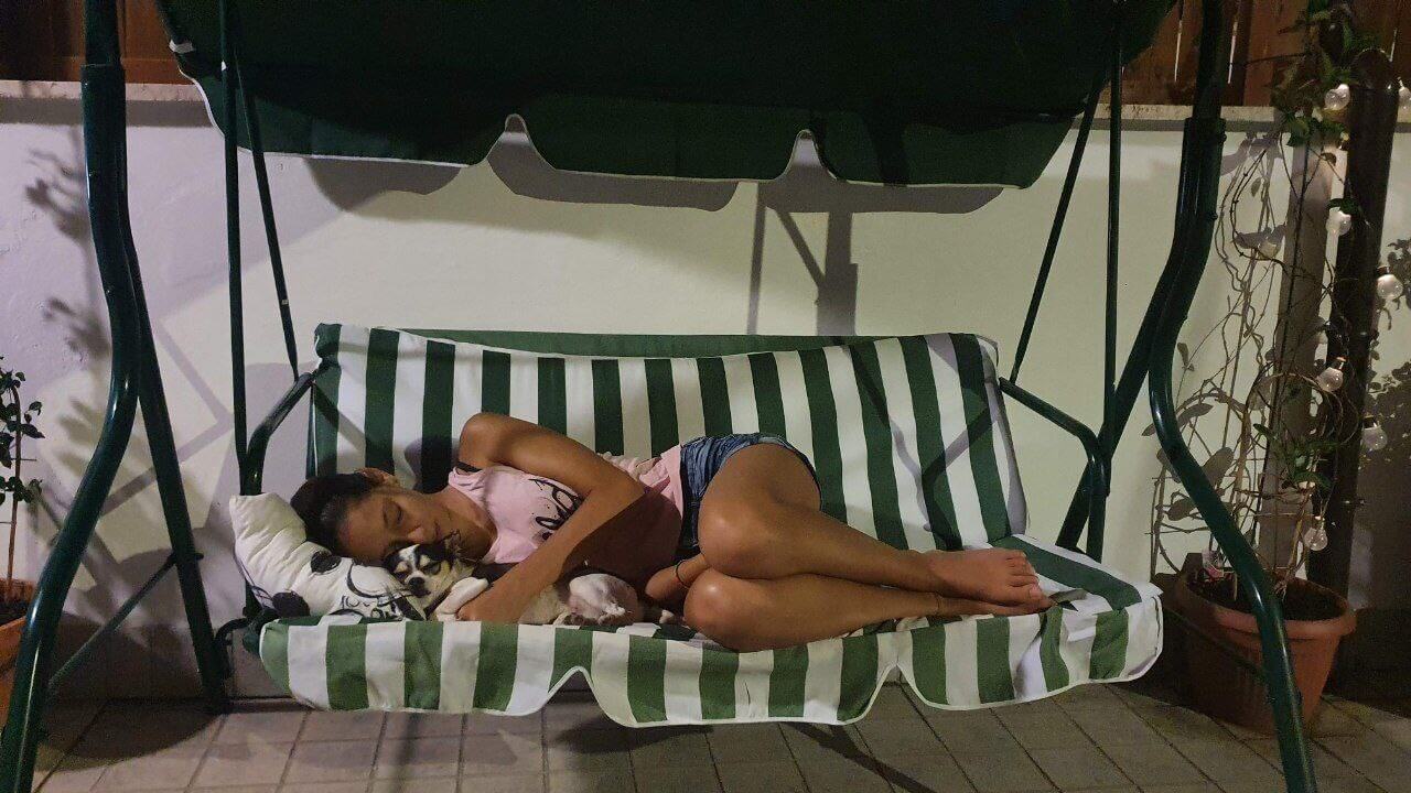 foto del cane Zeus 34