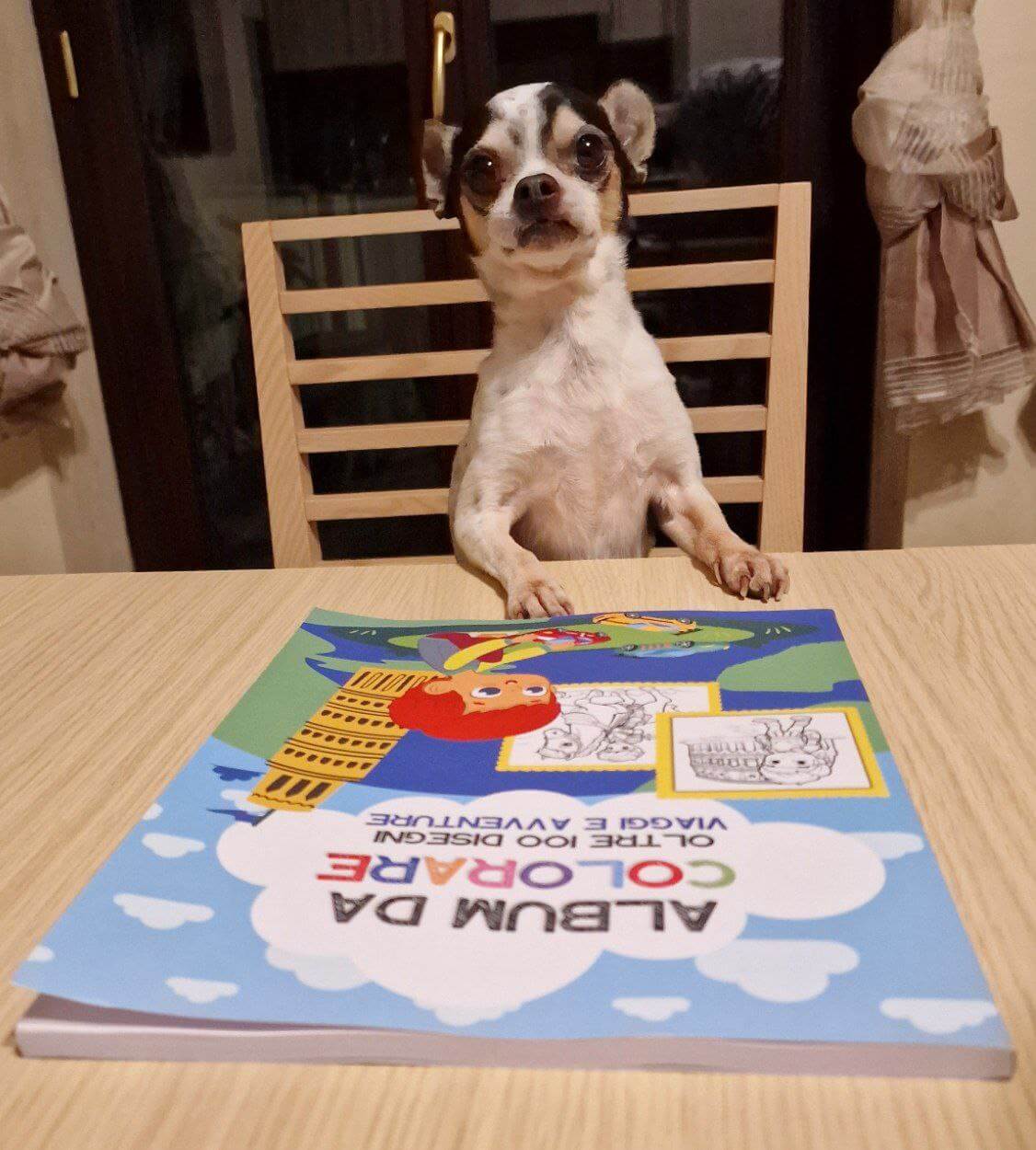 foto di zeus da piccolo 1