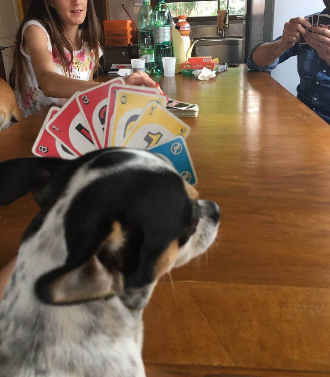 foto di zeus da piccolo 7 1