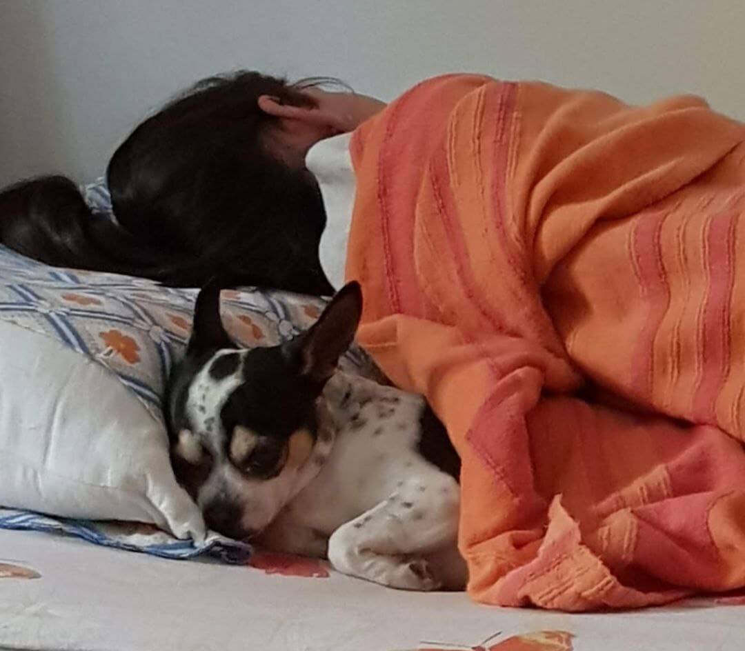 foto di zeus da piccolo 7