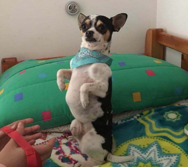 momenti belli con zeus 1