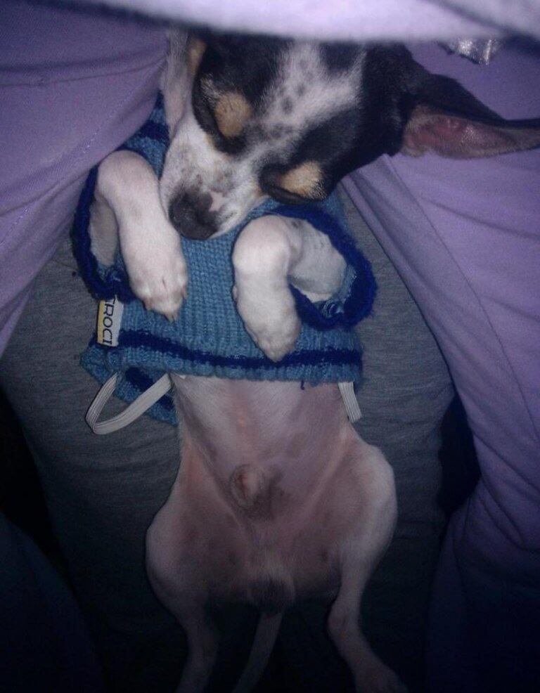 photo 5886583628329239274 y