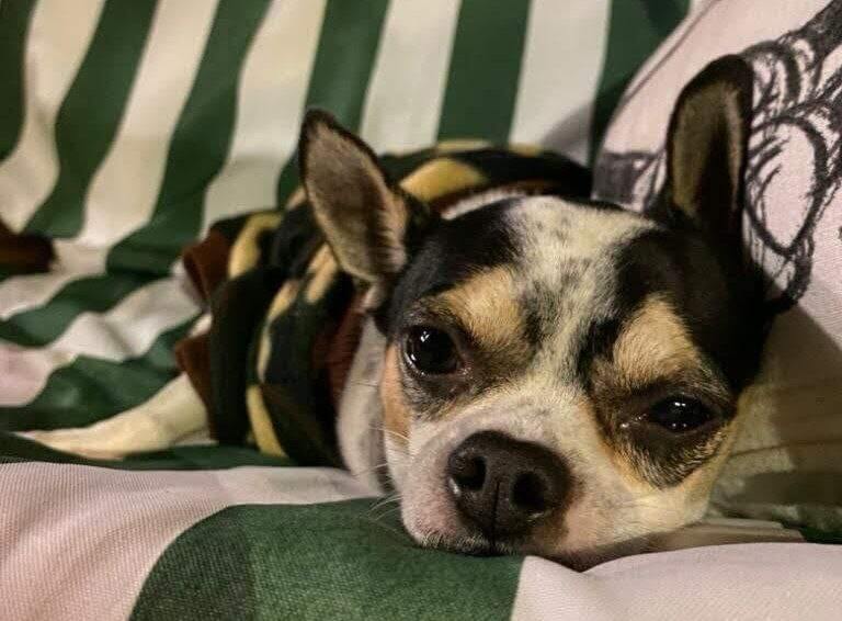 photo 5886583628329239275 x