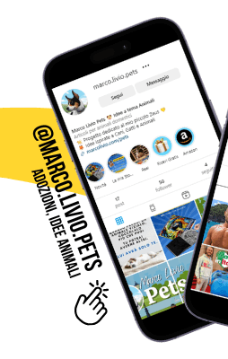 accedi ORA a marco livio pets su instagram