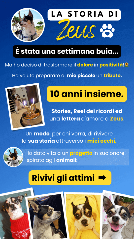 story instagram zeus ricordi (1)