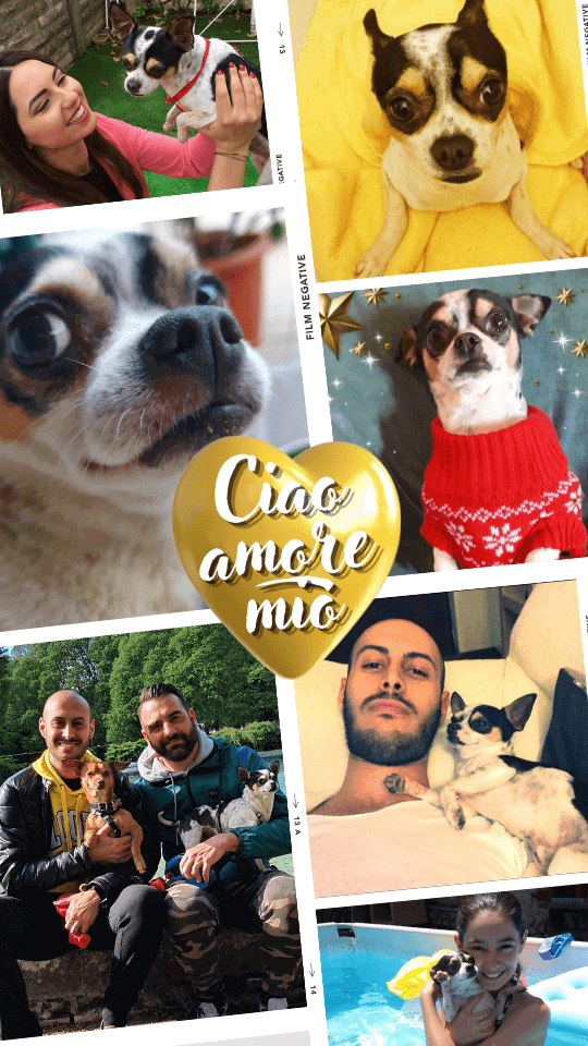 story instagram zeus ricordi (12)