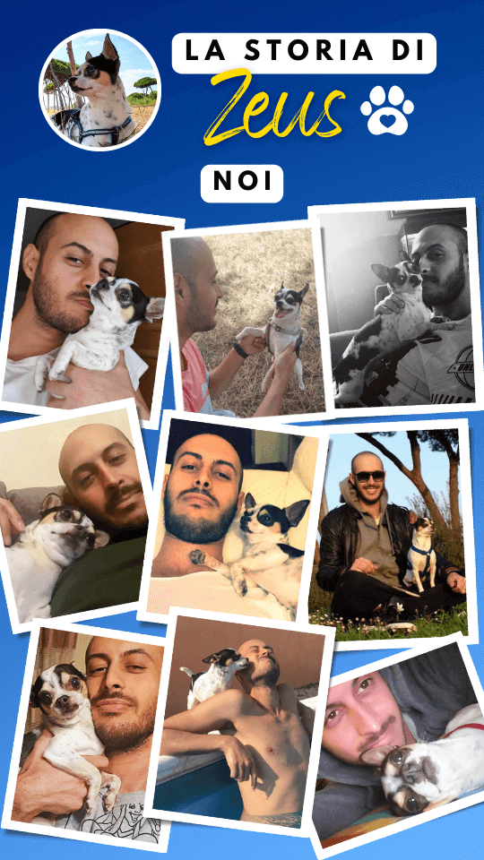 story instagram zeus ricordi (2)