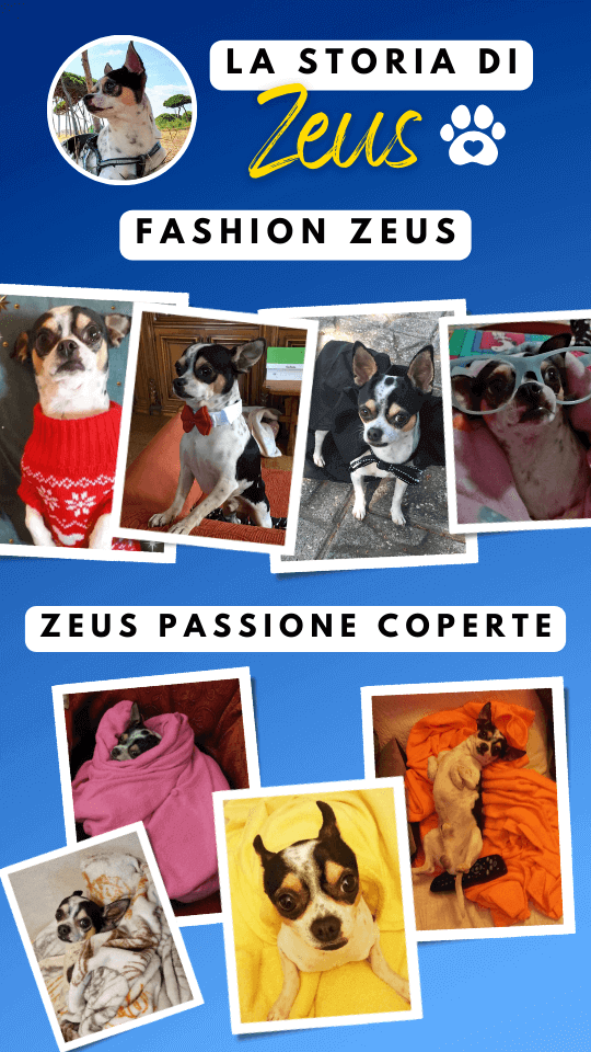 story instagram zeus ricordi (3)