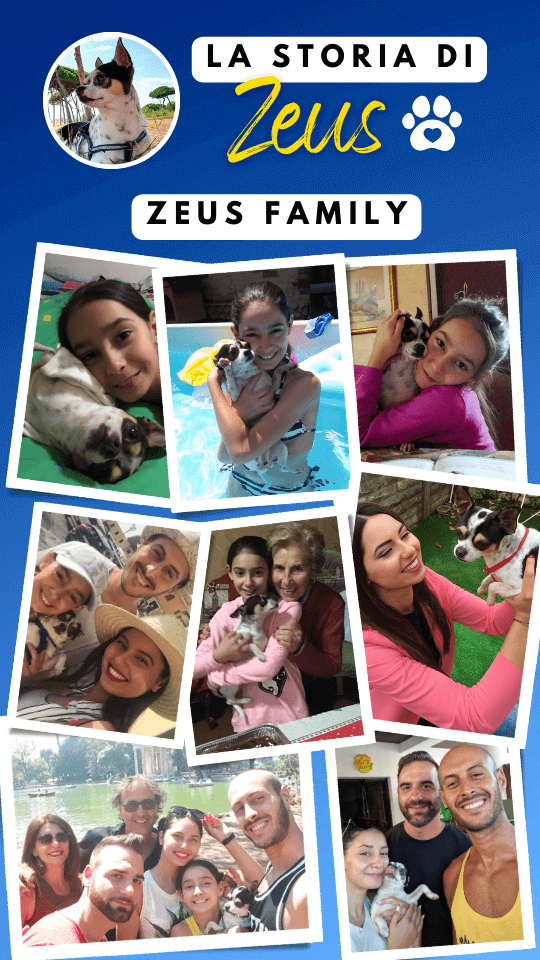 story instagram zeus ricordi (6)