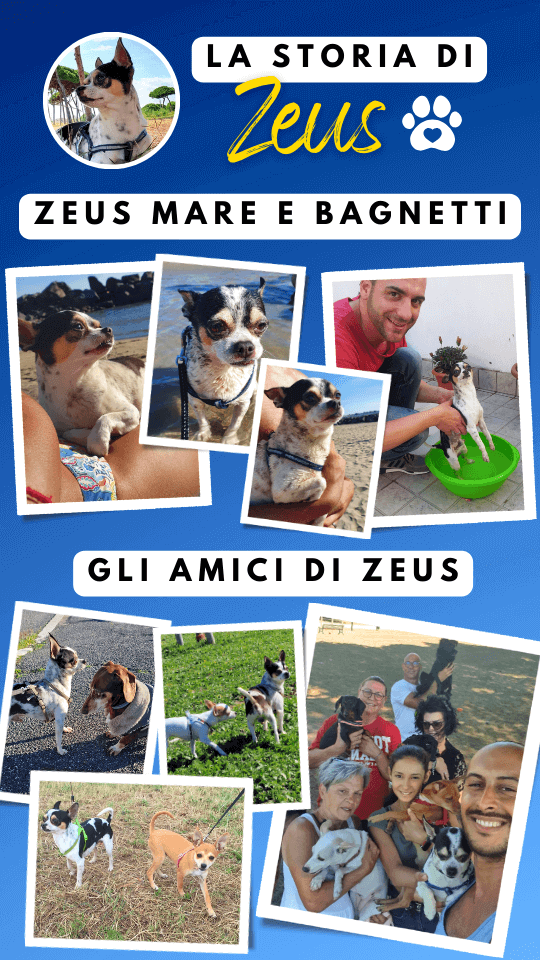 story instagram zeus ricordi (8)