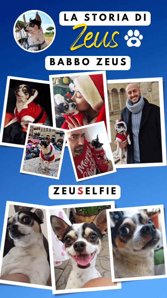 story instagram zeus ricordi (9)