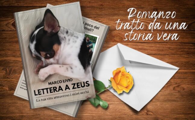 lettera a zeus romanzo tratto da una storia vera di un cane scomparso