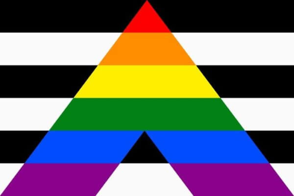 ally pride flag 1