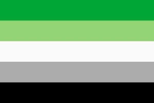 aromantic flag 1