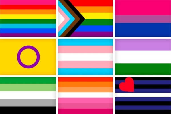 LGBTQ+ Flag Guide: Gay, Bisexual, Lesbian, Trans and Queer History and ...