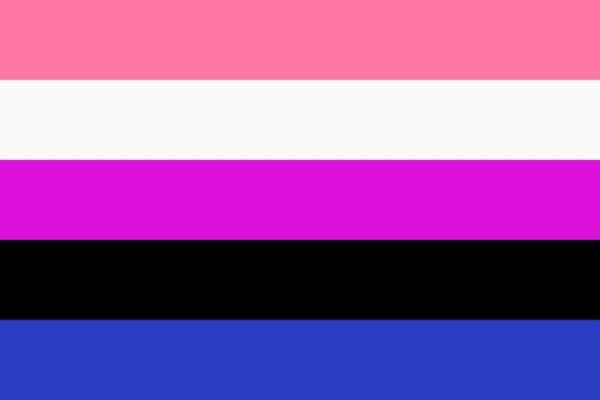 genderfluid flag 1