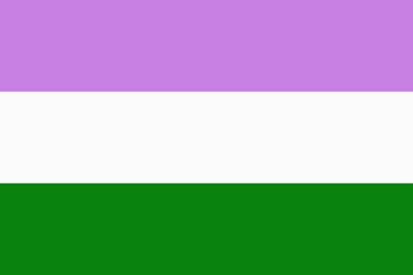 genderqueer flag 1