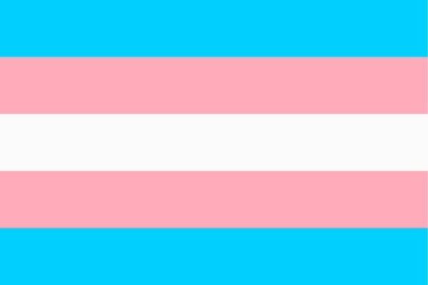 transgender flag 1