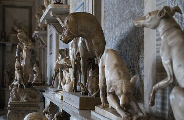 Sala degli Animali musei vaticani