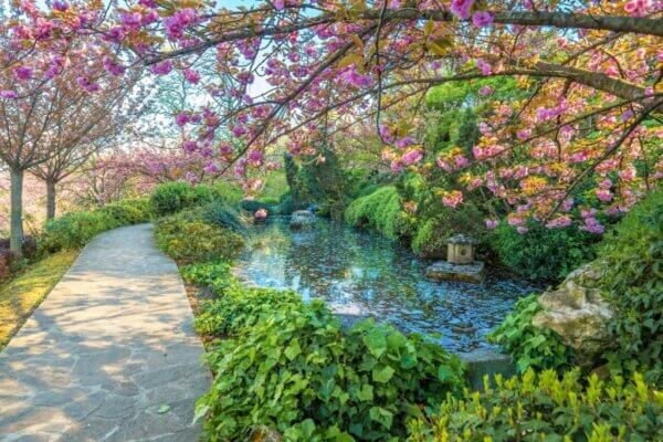 botanical garden rome 1024x683 1