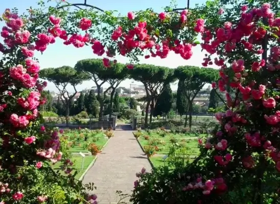 rose garden in rome garden