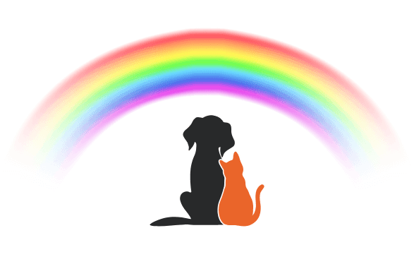 cani e gatti ponte dell'arcobaleno