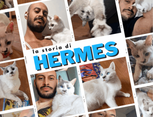lettera a hermes
